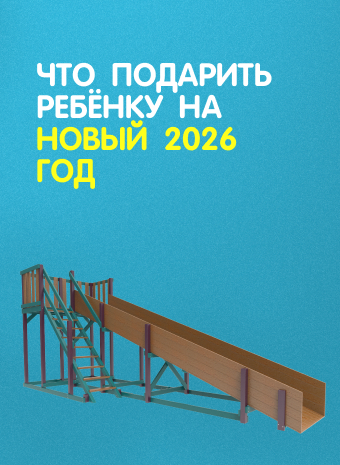 Что подарить ребенку на Новый 2026 год? 