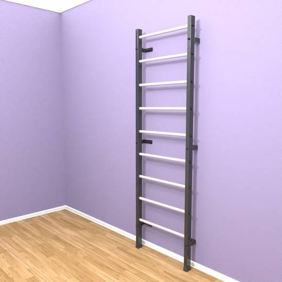 Шведская стенка «LittleSport» Graphite белые ступени